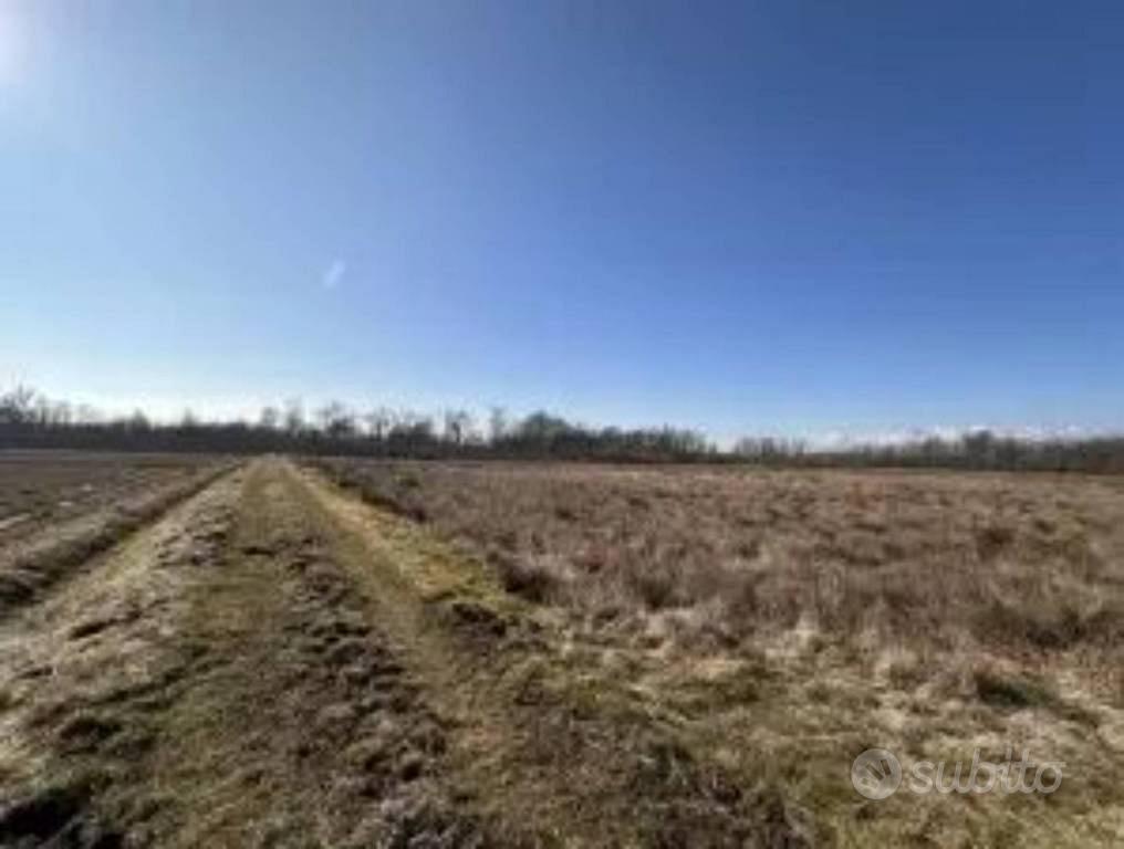 Immobile in asta di 43880 m² a Gattinara - Vista 5