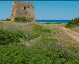 Ostuni Puglia Salento casa vacanza si animali