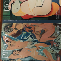 Libri picasso