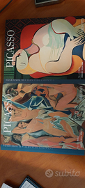 Libri picasso