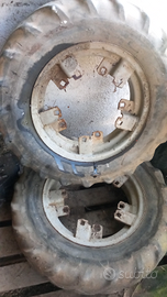 Cerchi landini frutteto