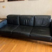 Divani e poltrone in pelle naturale nera