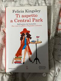 libro “ti aspetto a central park” copertina rigida
