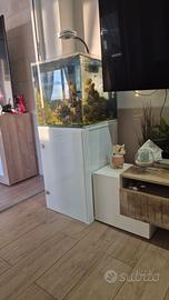 Acquario Genesi cubo da 50 completo 