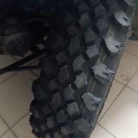 Gomme tasselate panda 141