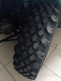 Gomme tasselate panda 141