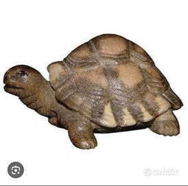 tartarughe