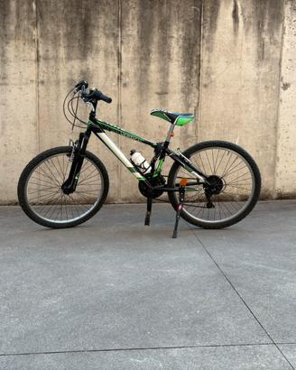 Bici Blume