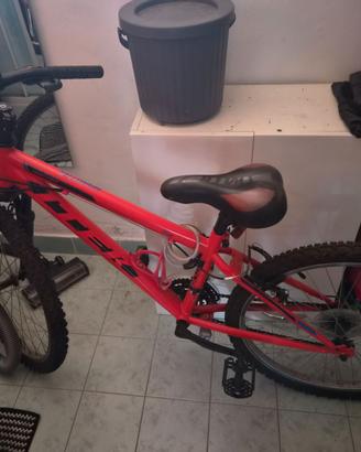 Bicicletta