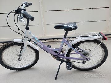 Bicicletta 20
