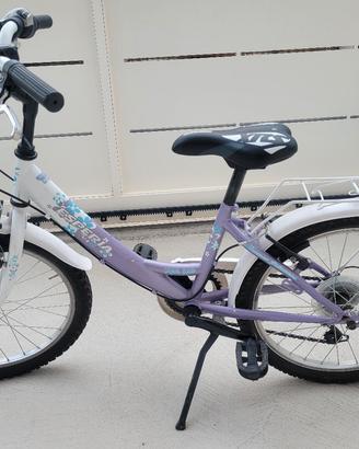 Bicicletta 20