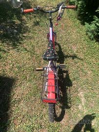 Bicicletta