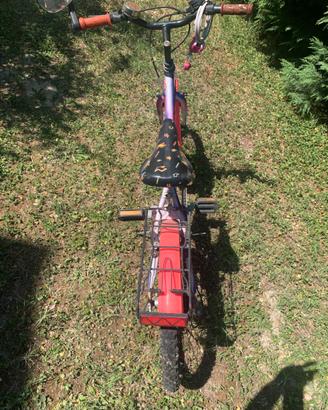 Bicicletta