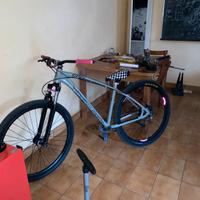 C100 v2 soloscambi