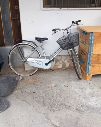 bicicletta da donna 