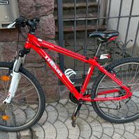Bicicletta uomo