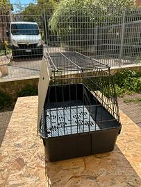 Gabbia da cani