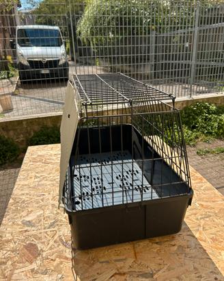 Gabbia da cani