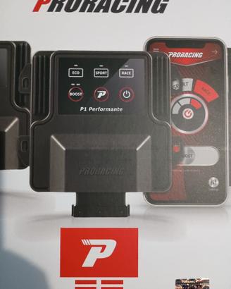 centralina aggiuntiva Proracing P1 Performante