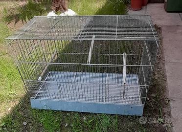 gabbia con divisorio 