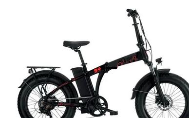 Bici elettrica - ebike