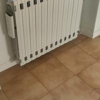 termosifoni in ghisa 