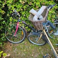 Bici bimba, bimbo, 2 mountain bike, triciclo