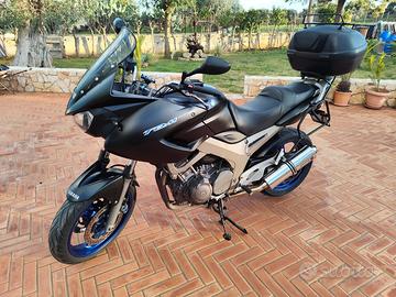 Yamaha TDM 900 - 2007