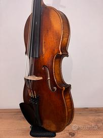Violino