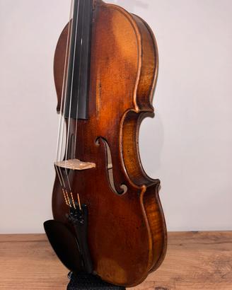 Violino