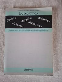 La didattica - lineamenti storici dal XIX secolo..