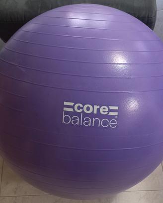 Palla gravidanza-fitness