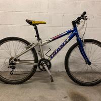 Mountain bike da ragazzo