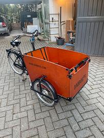 Babboe bici cargo olandese