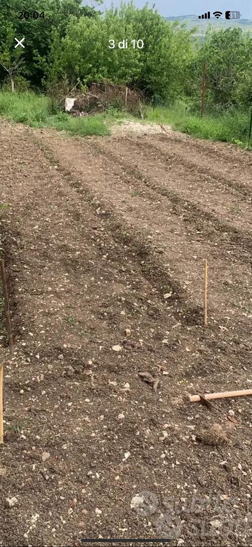 Immobile con 1757 mq di terreno - Altro