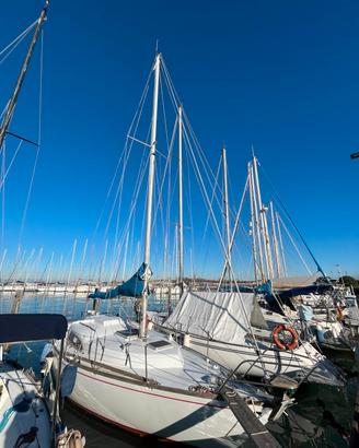 Barca a vela Arpege 