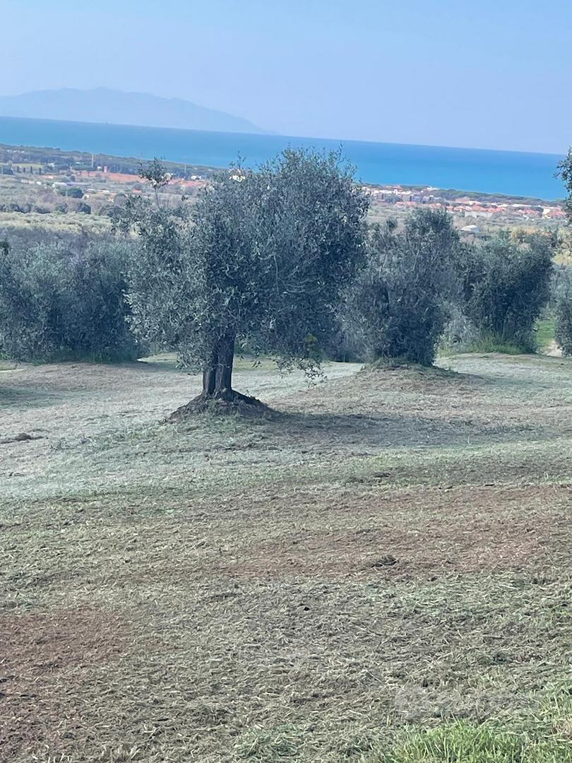 Annesso e terreno agricolo a san vincenzo - Vista 5
