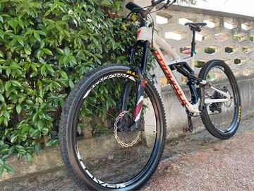 MTB ENDURO SPECIALIZED Telaio Carbon RUOTE 29
