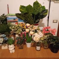 piante ornamentali 