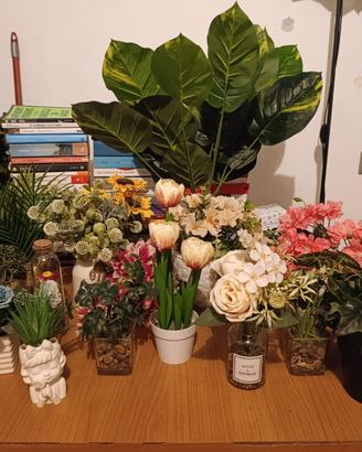 piante ornamentali 