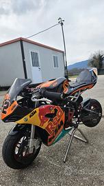 minimoto tecnomoto gp