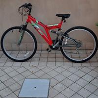 Bicicletta GRAZY BIKE