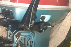 Evinrude  25/35 cv   Doppio Avviamento 
