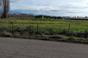 Terreno agricolo fronte stradale