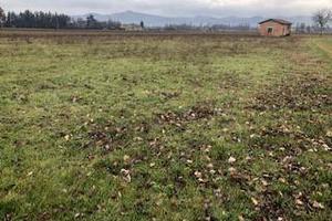 Terreno di 3050 m² a San Giustino