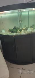 acquario juwel 250L ad angolo 