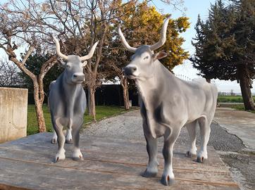 Buoi in gesso di bologna
