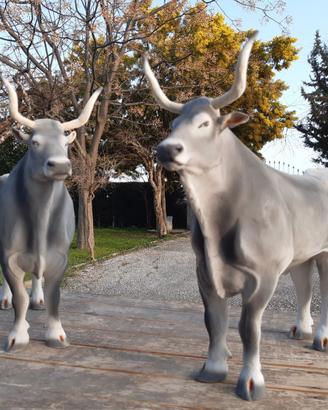 Buoi in gesso di bologna