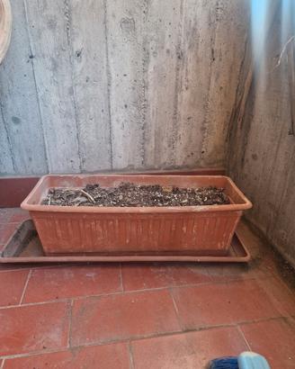 vari casa e giardino 