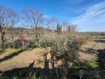 Terreno Agricolo Castelfiorentino [1/0373VRG]